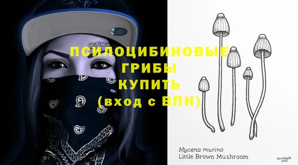 каннабис Арсеньев