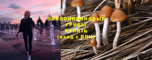 каннабис Арсеньев
