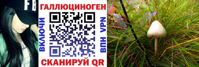 Псилоцибиновые грибы Cubensis  где найти наркотики  Почеп 